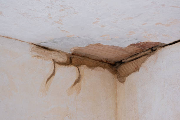 Best Flood damage cleanup  in Byram, MS